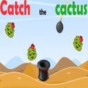 Catch The Cactus icon