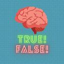 True or false quiz icon