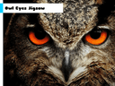 Owl Eyes Jigsaw icon