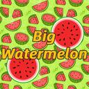 BigWatermelon icon