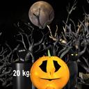 Halloween Pumpkin Weighin; icon