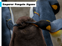 Emperor Penguin Jigsaw icon
