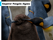 Emperor Penguin Jigsaw