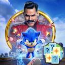 Sonic Memory Cards icon