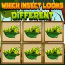 Which Insect Looks Different icon