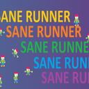 Sane Runner icon