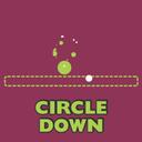 Circle Down icon