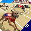 Dog Run 3D icon