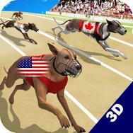 Dog Run 3D