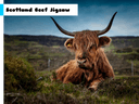 Scotland Beef Jigsaw icon
