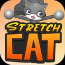 STRETCH CAT 3D icon