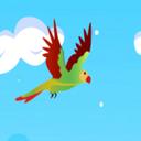 Flying Parrot icon