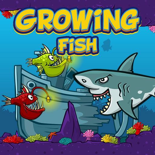 Growing Fish