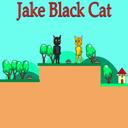 Jake Black Cat icon