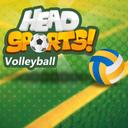 Head Sports Volleyball icon