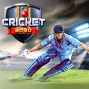 Cricket 2020 icon