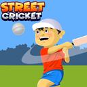 Street Cricket icon