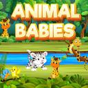 Animal Babies icon