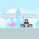 Pig Ball Christmas icon