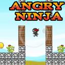 Angry Ninja icon