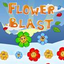Flower Blast icon