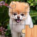 Cute Dogs Jigsaw Puzlle icon