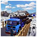 Cargo Truck Transport Simulator  2020 icon