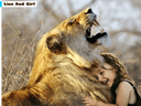 Lion And Girl Jigsaw icon