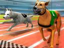 Real Dog Racing Simulator 3D icon