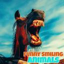 Funny Smiling Animals icon