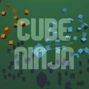 Cube Ninja icon