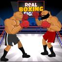 Real Boxing Fight icon