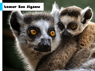 Lemur Zoo Jigsaw