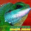 Chinese Water Dragon Jigsaw icon