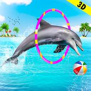 Dolphin Water Stunts Show