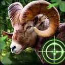 Crazy Goat Hunter 2020 icon