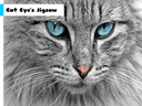 Cat Eye's Jigsaw icon