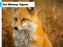 Fox Closeup Jigsaw icon