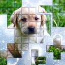 PicPu Dog icon