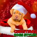Christmas Dogs Styles icon
