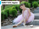Ballet Tutu Jigsaw icon