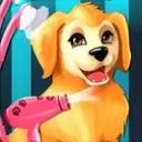 Become a Puppy Groomer icon