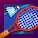 Power Badminton icon