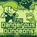 Play Tiny Dangerous Dungeons on doodoo.love