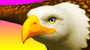 Eagle Ride icon