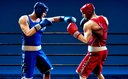 Punchers icon