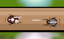 Spider Fighting icon