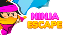Ninja Escape icon