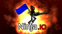 Play Ninja.io on doodoo.love